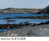 Girl on the beach, Twillingate, North Twillingate Island, Newfoundland And Labrador, Canada (2013 год). Стоковое фото, агентство Ingram Publishing / Фотобанк Лори