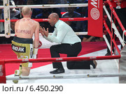 Бой между чемпионом Мира по версии WBC, Кшиштофом Влодарчиком и чемпионом Европы, Григорием Дроздом (2014 год). Редакционное фото, фотограф Дмитрий Неумоин / Фотобанк Лори