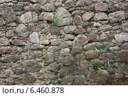 Стена из дикого камня. Стоковое фото, фотограф виктор химич / Фотобанк Лори