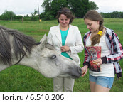 Женщина с девушкой угощают хлебом пасущуюся лошадь (2014 год). Редакционное фото, фотограф Вячеслав Палес / Фотобанк Лори