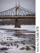 Город Тверь. Старый мост (2012 год). Стоковое фото, фотограф Ольга Денисова / Фотобанк Лори