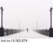 Мост, городской пейзаж в туманный снежный зимний день. Стоковое фото, фотограф Елена Кирьян / Фотобанк Лори