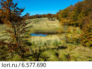 Осенний пейзаж в Карпатах. Стоковое фото, фотограф Эдуард Кислинский / Фотобанк Лори