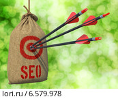 Стрелы с красным оперением попали в цель - в слово SEO. Стоковая иллюстрация, иллюстратор Илья Урядников / Фотобанк Лори
