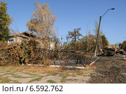 Следы пожаров на улицах, село Степановка (2014 год). Стоковое фото, фотограф Копылов Сергей / Фотобанк Лори