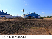 Дойное стадо заходит на ферму. Стоковое фото, фотограф Анатолий Матвейчук / Фотобанк Лори