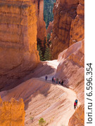 Люди идут по тропе. Национальный парк Брайс-Каньон (англ. Bryce Canyon National Park) (2014 год). Редакционное фото, фотограф Ирина Кожемякина / Фотобанк Лори
