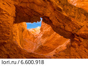 Кусочек неба. Национальный парк Брайс-Каньон (англ. Bryce Canyon National Park) (2014 год). Стоковое фото, фотограф Ирина Кожемякина / Фотобанк Лори