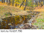 Речка Караста в осеннем парке Ораниенбаум (2014 год). Редакционное фото, фотограф Сергей Дубров / Фотобанк Лори