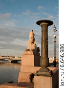 Санкт-Петербург. Египетский сфинкс (2009 год). Стоковое фото, фотограф Александр Алексеев / Фотобанк Лори
