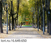 Псков. Аллея в городском парке в осенний день (2014 год). Редакционное фото, фотограф Наталия Журавлёва / Фотобанк Лори