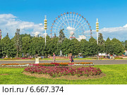 Москва. Выставка достижений народного хозяйства (ВДНХ). Главная аллея и колесо обозрения (2014 год). Редакционное фото, фотограф Владимир Сергеев / Фотобанк Лори