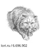 Крадущаяся кошка - Crouching cat. Стоковая иллюстрация, иллюстратор Марина Ефремова / Фотобанк Лори