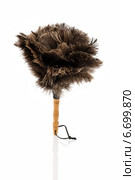 feather duster against white background. Стоковое фото, фотограф Erwin Wodicka / Фотобанк Лори