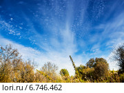 Осеннее небо над сибирским разнотравьем. Стоковое фото, фотограф Евгений Мухортов / Фотобанк Лори
