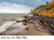 Осень. Побережье реки Обь. Стоковое фото, фотограф Евгений Мухортов / Фотобанк Лори
