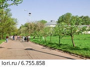 Кумысная дорога на ВДНХ (2010 год). Редакционное фото, фотограф Алёшина Оксана / Фотобанк Лори