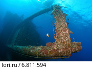 Фрагменты затонувшего корабля на дне Красного моря, Египет (2014 год). Стоковое фото, фотограф Некрасов Андрей / Фотобанк Лори