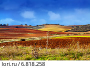 autumn landscape. Стоковое фото, фотограф Яков Филимонов / Фотобанк Лори