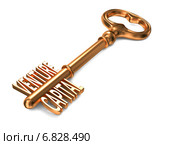 Венчурный капитал - золотой ключ. Стоковая иллюстрация, иллюстратор Илья Урядников / Фотобанк Лори