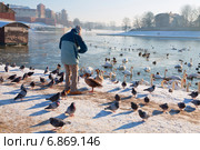 Человек кормит птиц на берегу Вислы в Кракове (2014 год). Редакционное фото, фотограф Наталья Волкова / Фотобанк Лори