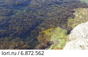 Побережье Черного моря в Крыму, мыс Тарханкут. Стоковое видео, видеограф Анатолий Типляшин / Фотобанк Лори