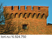 Оборонительная башня "Дер Дона" (нем "Der Dohna") Кёнигсберга. Калининград, Россия (2013 год). Стоковое фото, фотограф Сергей Трофименко / Фотобанк Лори