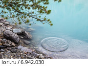 Лазурная вода. Озеро Шавло. Алтай. Стоковое фото, фотограф Gagara / Фотобанк Лори