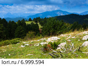 mountains landscape in summer day. Pyrenees, Spain. Стоковое фото, фотограф Яков Филимонов / Фотобанк Лори