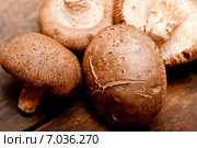 shiitake mushrooms. Стоковое фото, фотограф Francesco Perre / Фотобанк Лори