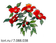 Камелия (Camellia). Рисунок гохуа в стиле се-и. Стоковая иллюстрация, иллюстратор Заноза-Ру / Фотобанк Лори