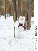 Снеговик настоящий - в еловом лесу. Стоковое фото, фотограф Светлана Шимкович / Фотобанк Лори