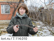Девушка обрезает ветви яблони в саду. Стоковое фото, фотограф Марина Славина / Фотобанк Лори