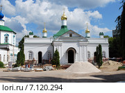Свято-Троицкий мужской монастырь. Рязань (2014 год). Стоковое фото, фотограф Глазков Владимир / Фотобанк Лори