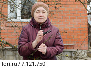 Дачница осматривает ветви дерева в поисках вредителей. Стоковое фото, фотограф Марина Славина / Фотобанк Лори