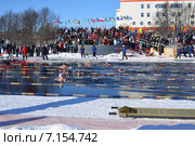 Десятый чемпионат России по ледяному плаванию (2015 год). Редакционное фото, фотограф Ирина Здаронок / Фотобанк Лори