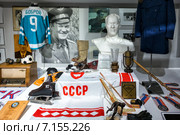 Экспозиция в ЛСК ЦСКА, посвященная легендам Советского хоккея с шайбой. Всеволод Бобров (2015 год). Редакционное фото, фотограф Сергей Лаврентьев / Фотобанк Лори