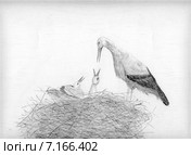 Гнездо с аистами. Рисунок графитовым карандашом. Стоковая иллюстрация, иллюстратор Olga Nikolaeva / Фотобанк Лори