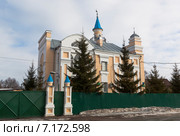 Соборная мечеть Аль-Джума в городе Вологде (2015 год). Стоковое фото, фотограф Николай Мухорин / Фотобанк Лори