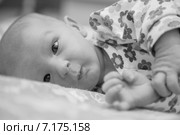 Новорожденный ребенок. Стоковое фото, фотограф Анастасия Улитко / Фотобанк Лори