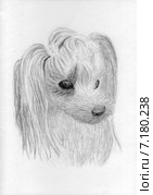 Собака модница. Рисунок графитовым карандашом. Стоковая иллюстрация, иллюстратор Olga Nikolaeva / Фотобанк Лори