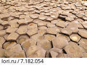 Дорога гигантов в северной ирландии (2012 год). Стоковое фото, фотограф Илья Пакульских / Фотобанк Лори