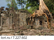 Cambodia, Siem Reap, Angkor, Preah Khan, Hindu Buddhist temple. Стоковое фото, агентство BE&W Photo / Фотобанк Лори