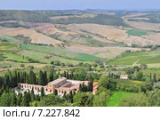 Vineyard near Montalcino, Tuscany, Italy. Стоковое фото, агентство BE&W Photo / Фотобанк Лори