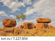 Australia - Outback, Northern Territory – The Devils Marbles Conservation Reserve located south of Tennant Creek area of Northern TerritoryAustralia, Outback, Northern Territory, The Devils Marbles Conservation Reserve located south of Tennant Creek. Стоковое фото, агентство BE&W Photo / Фотобанк Лори