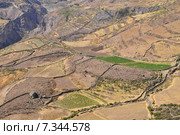 peru - colca canyon, canyon of the colca river in southern peru.Peru, Colca Valley, Terrace Cultivation. Стоковое фото, агентство BE&W Photo / Фотобанк Лори