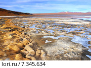 Bolivia, Laguna Colorada, Red Lagoon, Shallow Salt Lake in the Southwest of the Altiplano of Bolivia, within Eduardo Avaroa Andean Fauna National Reserve. Стоковое фото, агентство BE&W Photo / Фотобанк Лори