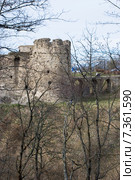 Крепость Копорье (2015 год). Стоковое фото, фотограф Александр Щепин / Фотобанк Лори