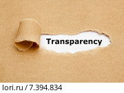 Надпись Transparency в отверстии рваной бумаги. Стоковое фото, фотограф Ивелин Радков / Фотобанк Лори