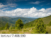 Хамар-Дабан. Стоковое фото, фотограф Ирина Бельдиман / Фотобанк Лори